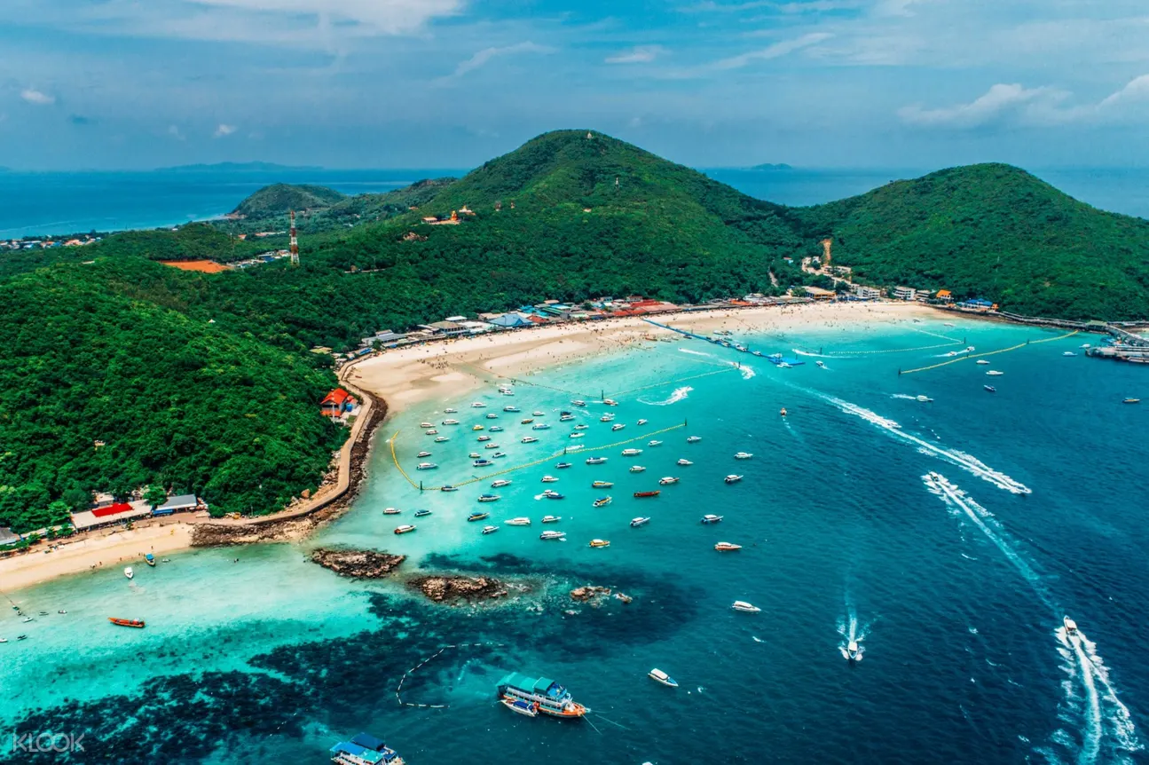 Snorkeling Pattaya at Koh Larn