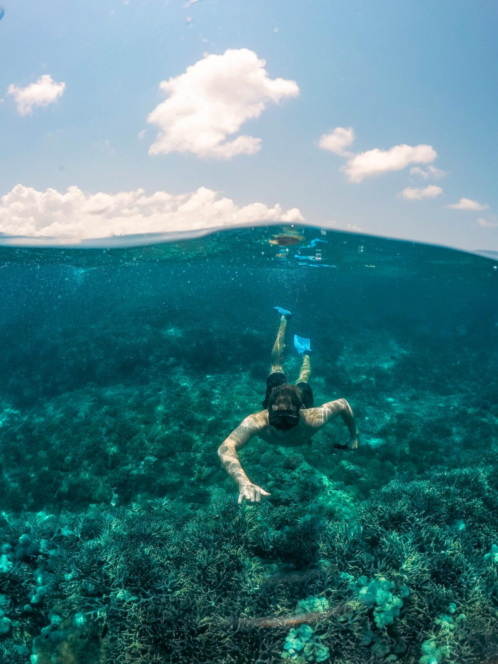 Your experience at Fuerteventura Boat Trips