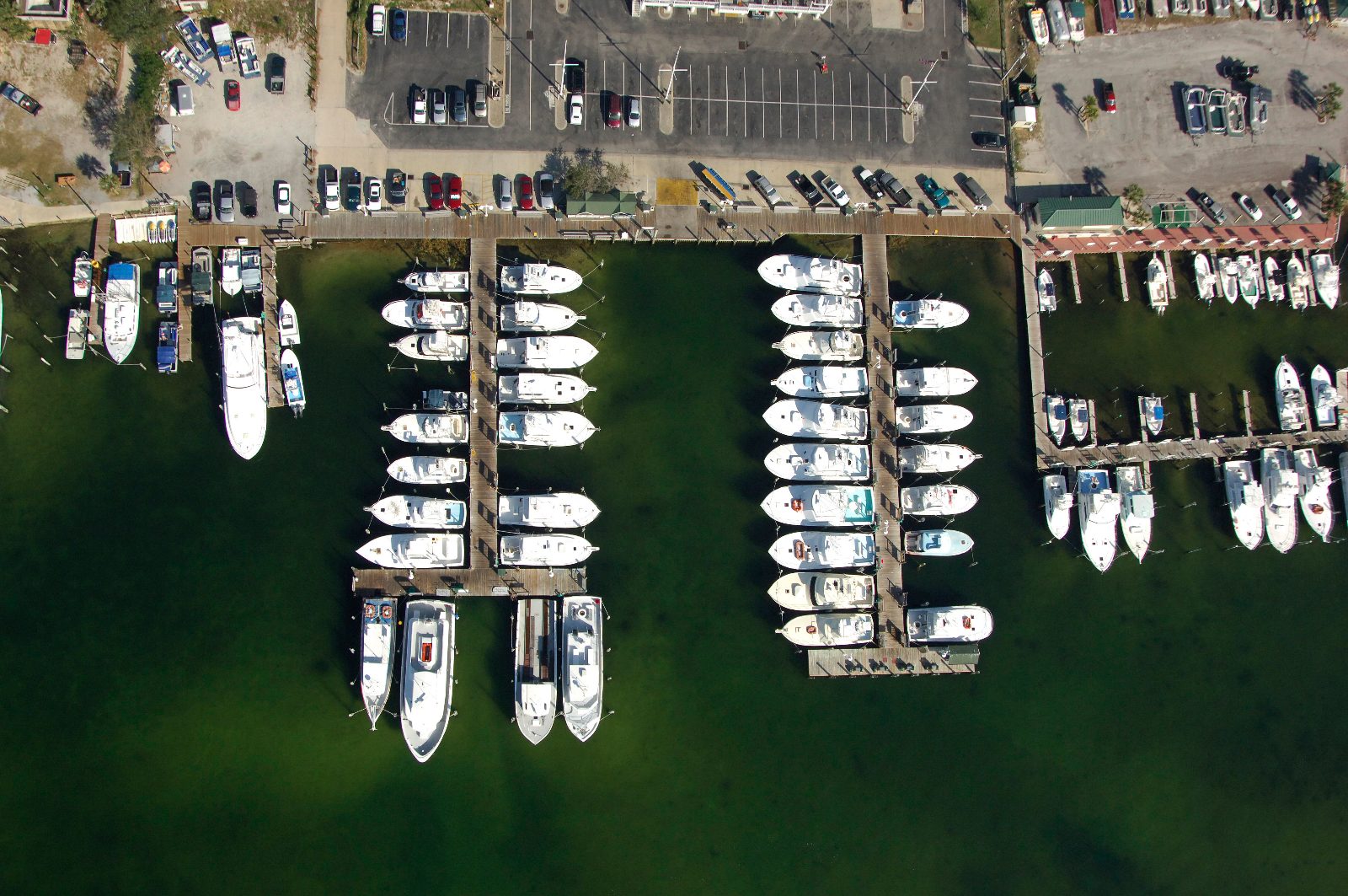 Destin Dolphin Cruise on Emerald Coast Waters