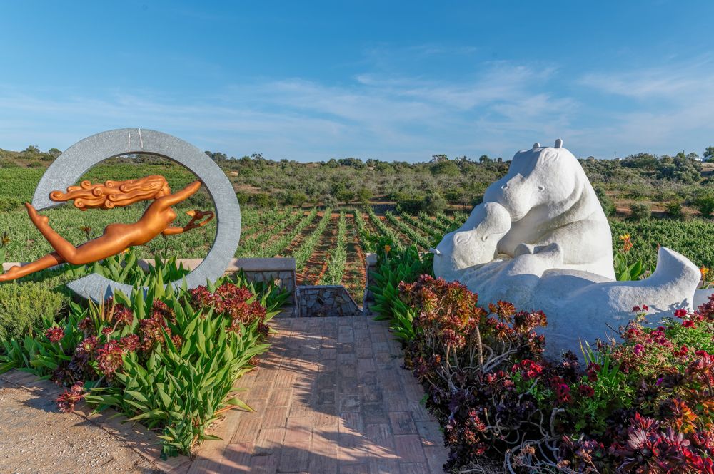 Wine Tasting Algarve Experience