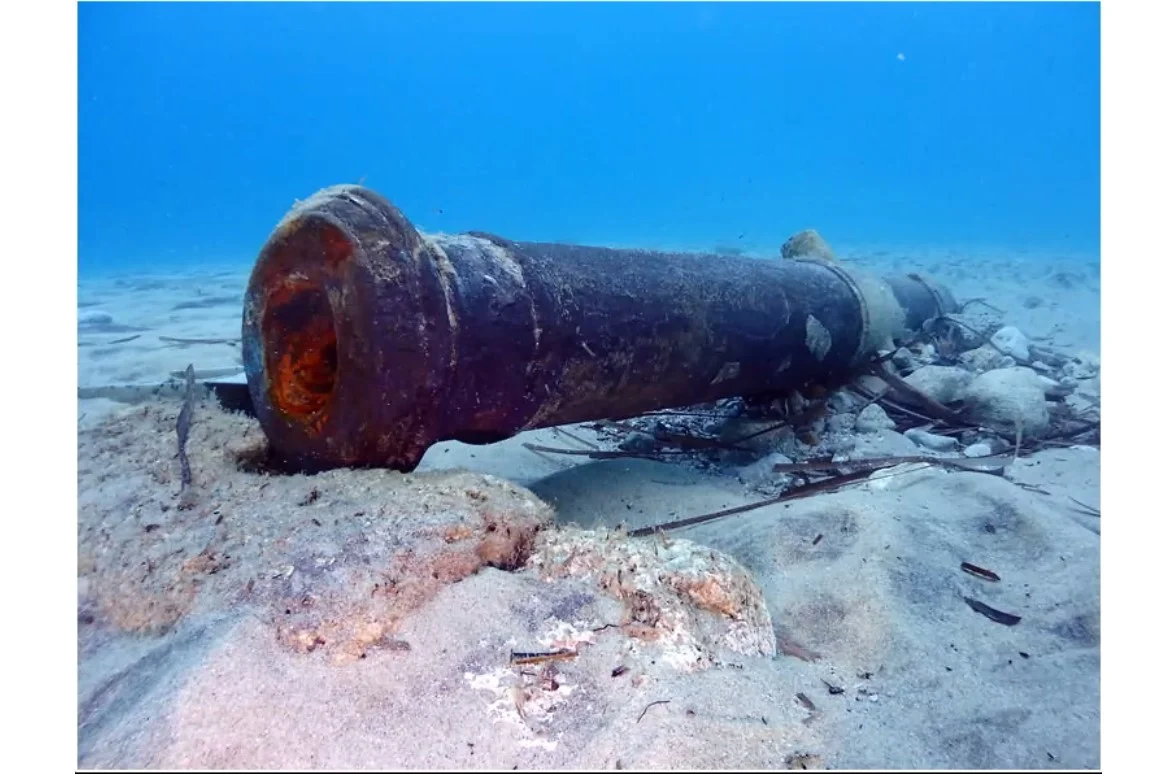 Historic Cannons