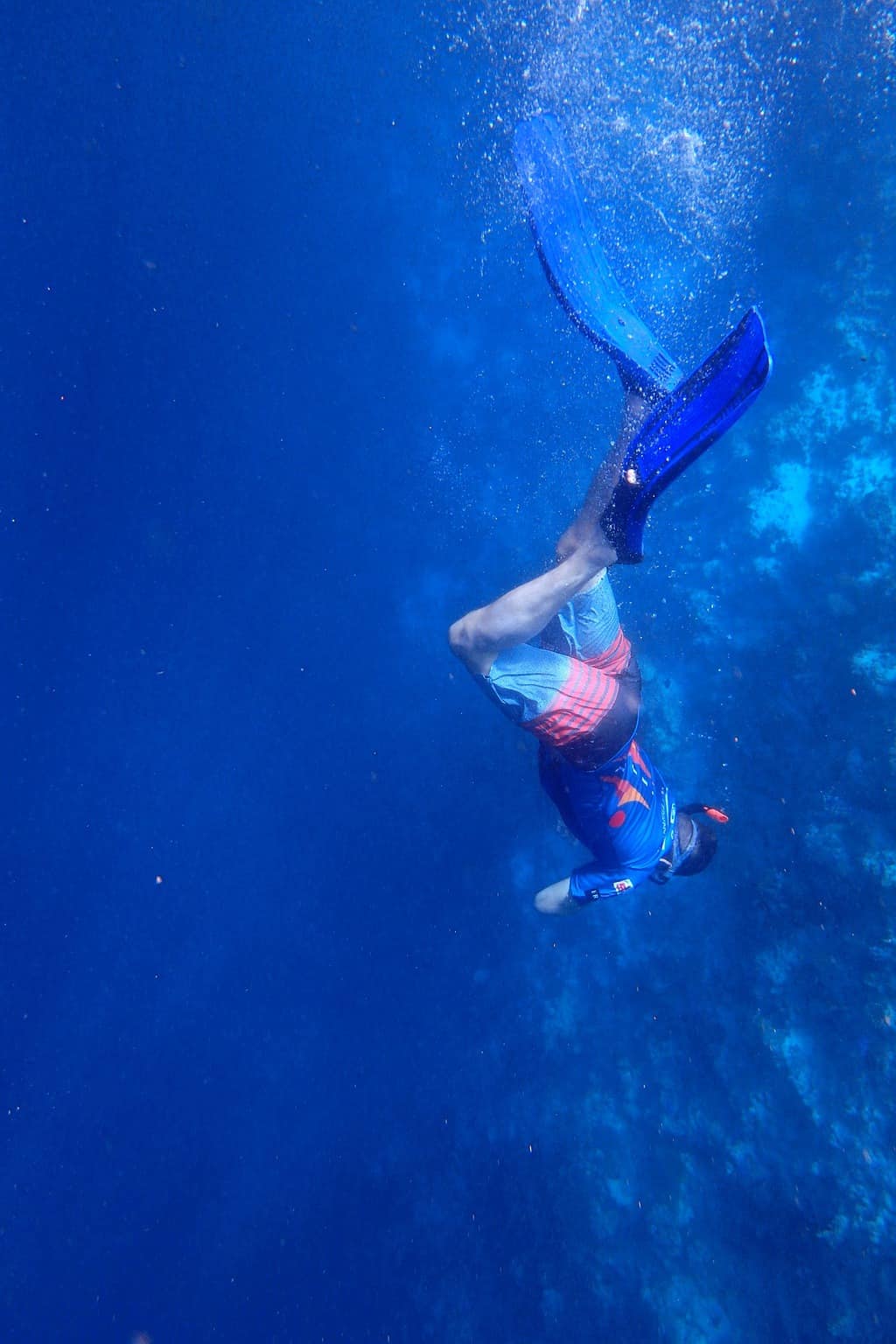 Your experience at Snorkeling Sao Miguel