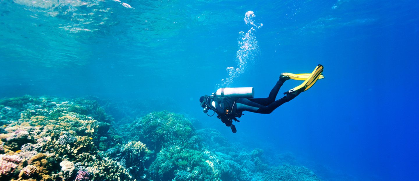Scuba Diving Abu Dhabi