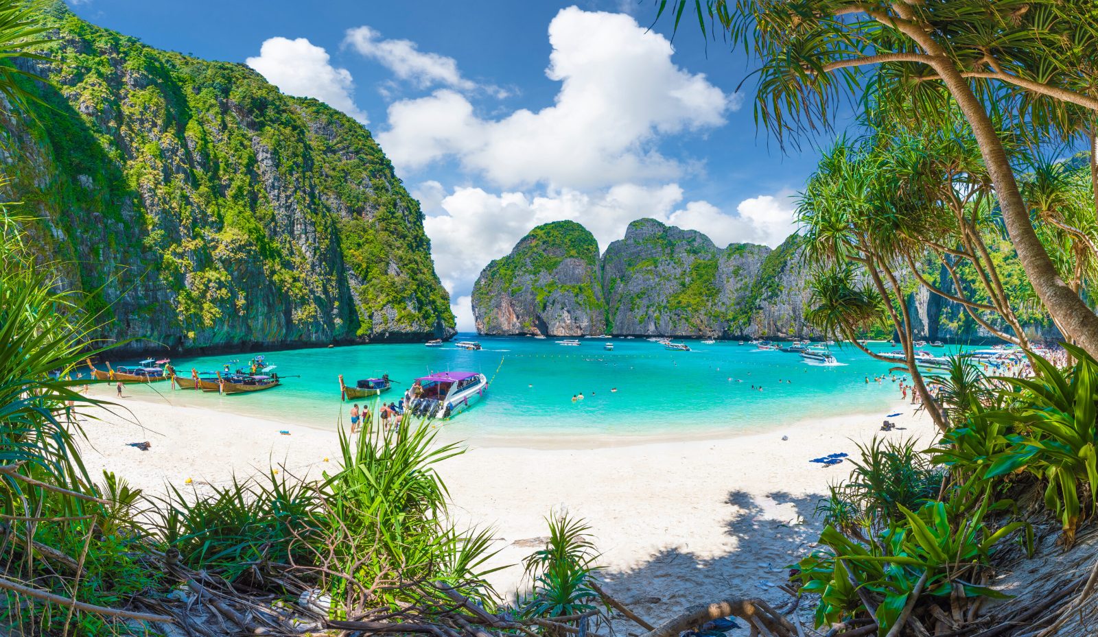Maya Bay & Early Bird Tours