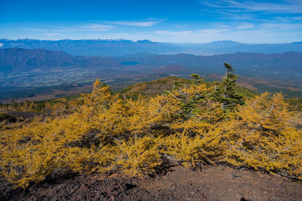 Ochudo Trail