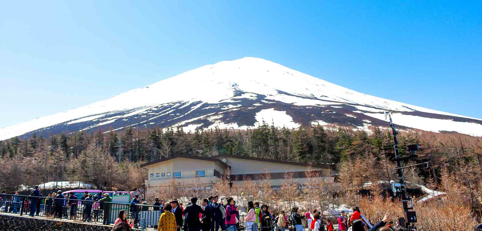 Mt Fuji Bus Tour from Tokyo Overview