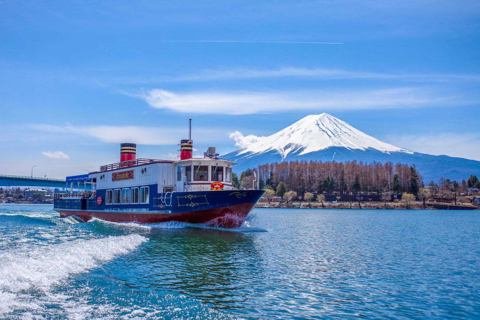 Mt Fuji Bus Tour From Tokyo