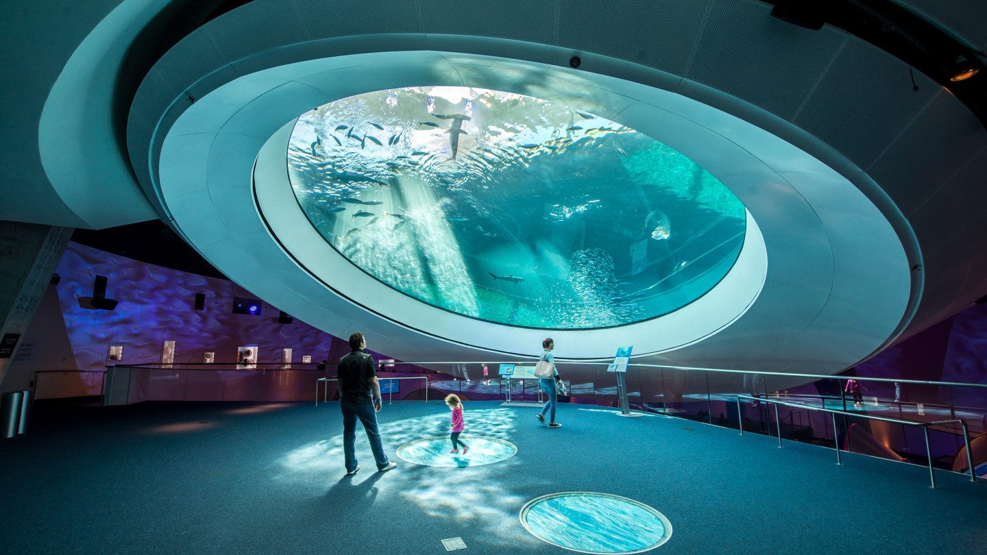 Frost Museum of Science