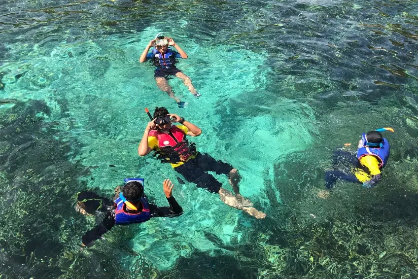 Bimini Bahamas Snorkeling
