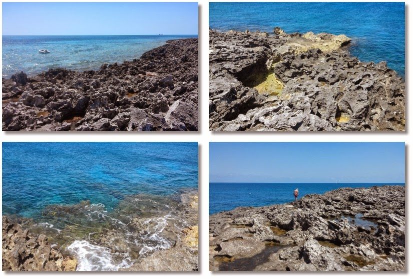 Turtle Rocks