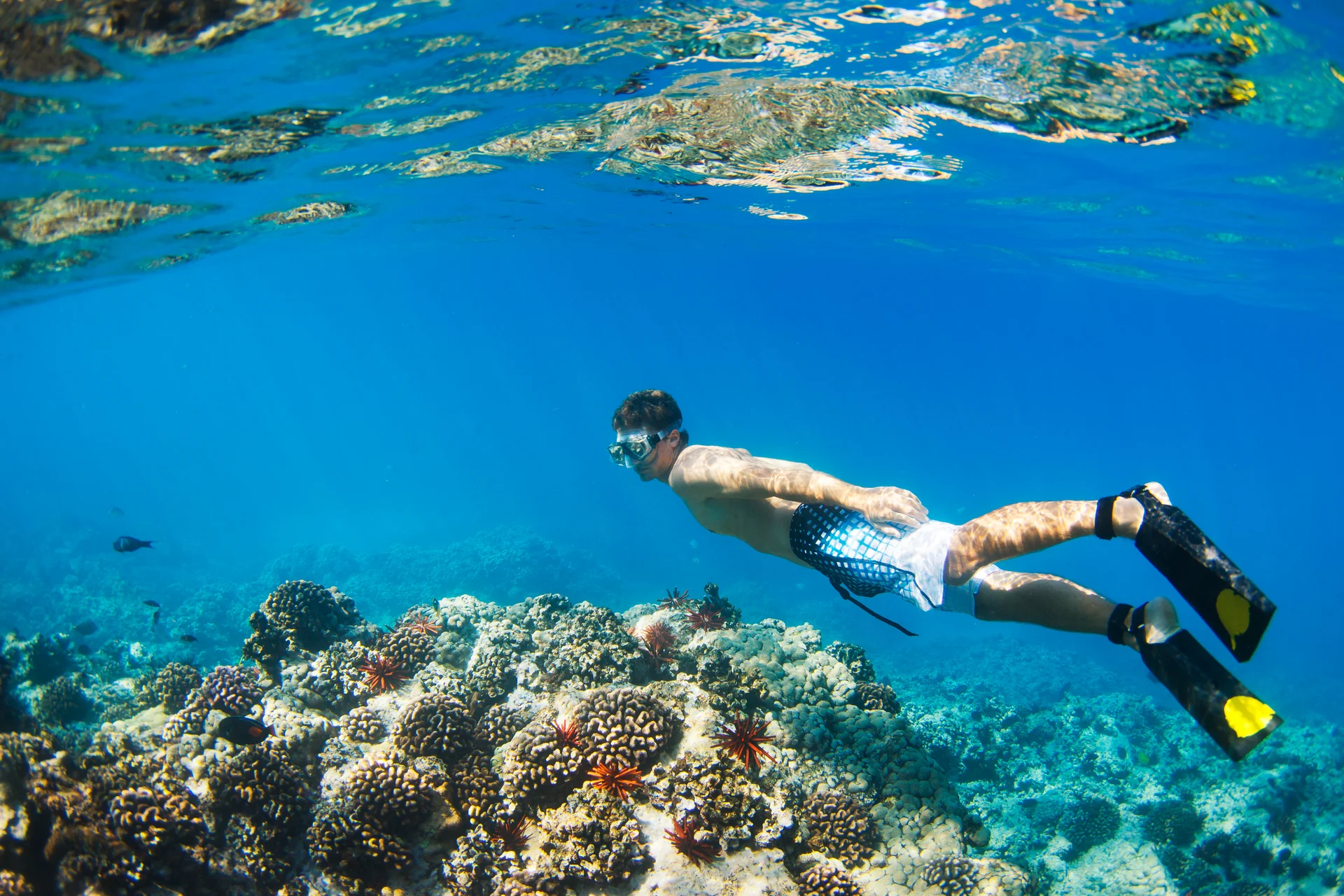 Can You Snorkel Off the Beach in Punta Cana