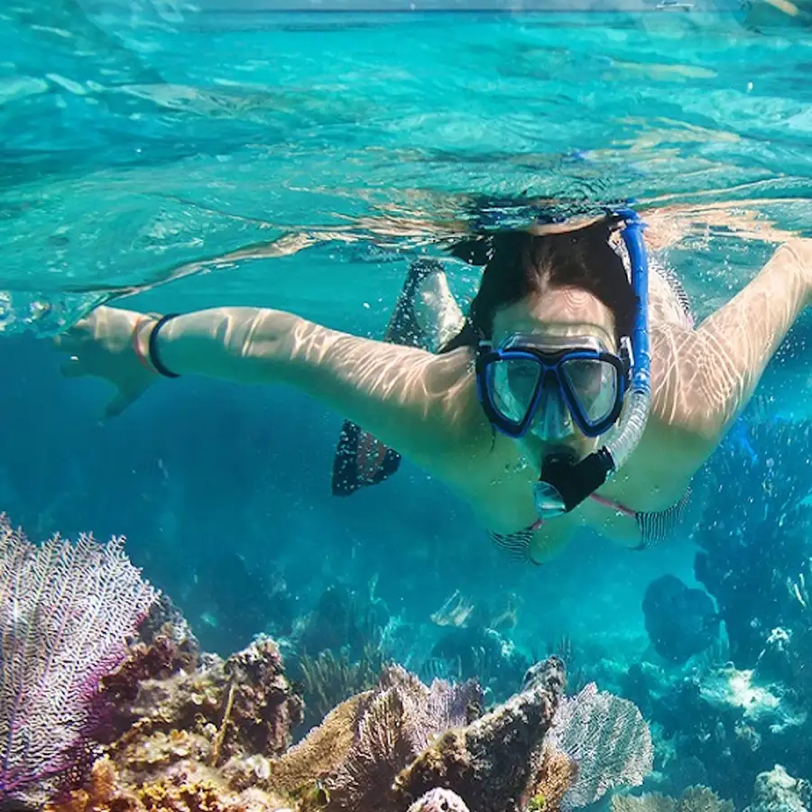 Snorkeling Punta Cana Bavaro Beach