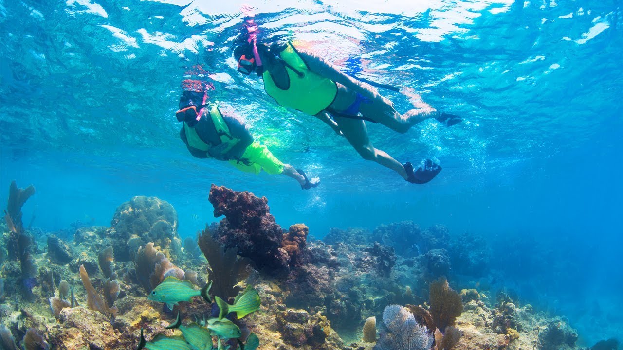 Is It Safe to Snorkel in Key West