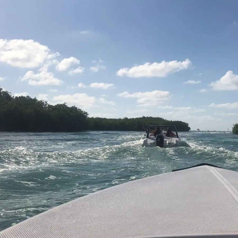 Jungle Tour Cancun Price