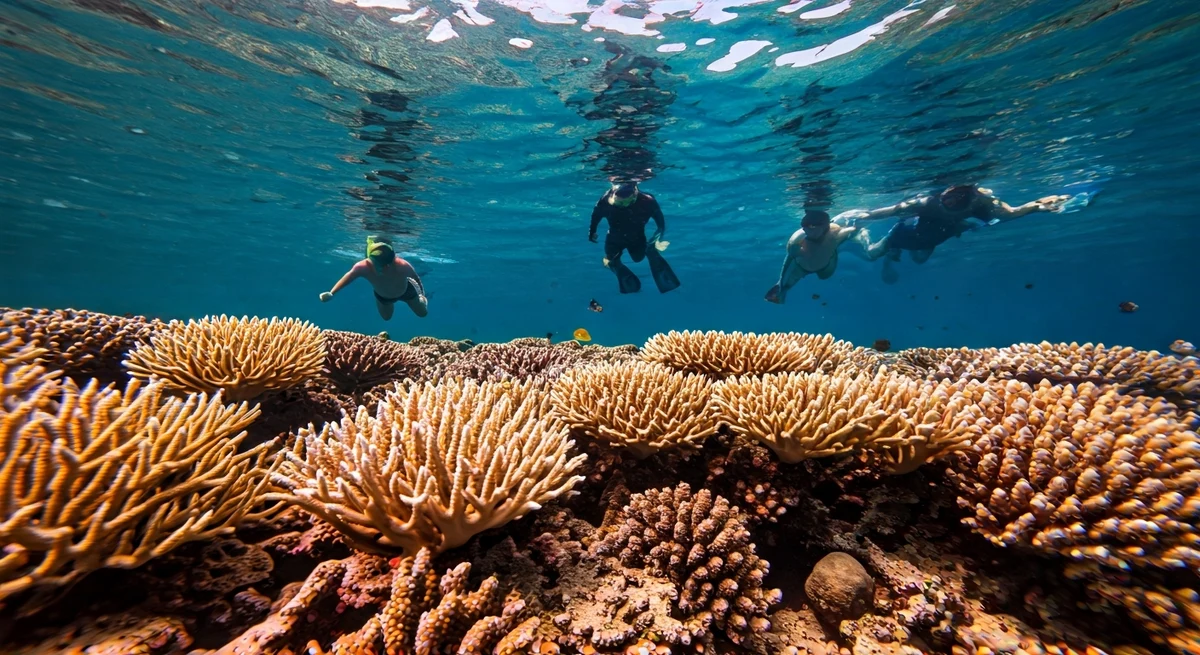 Koh Tan