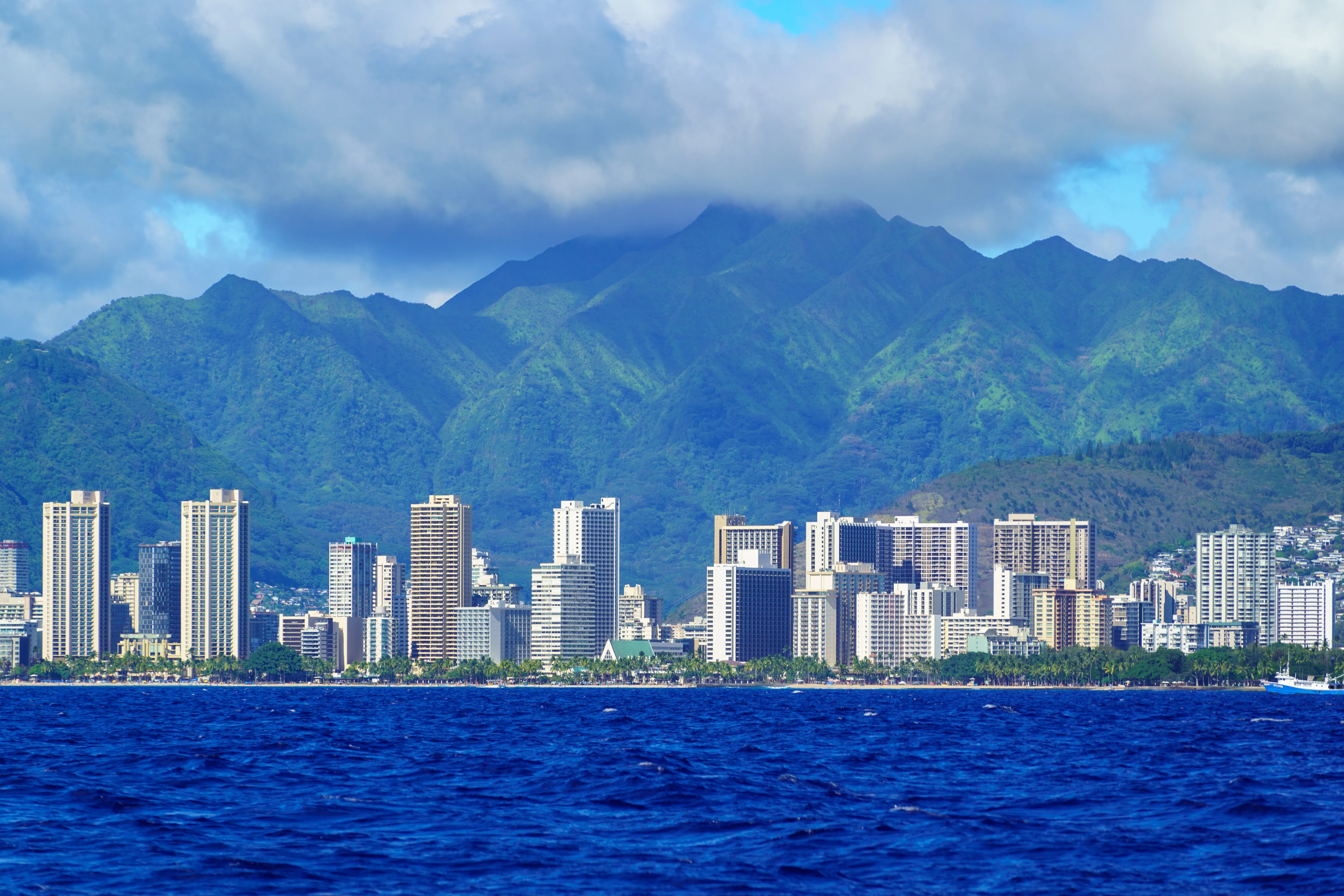 Waikiki Skyline