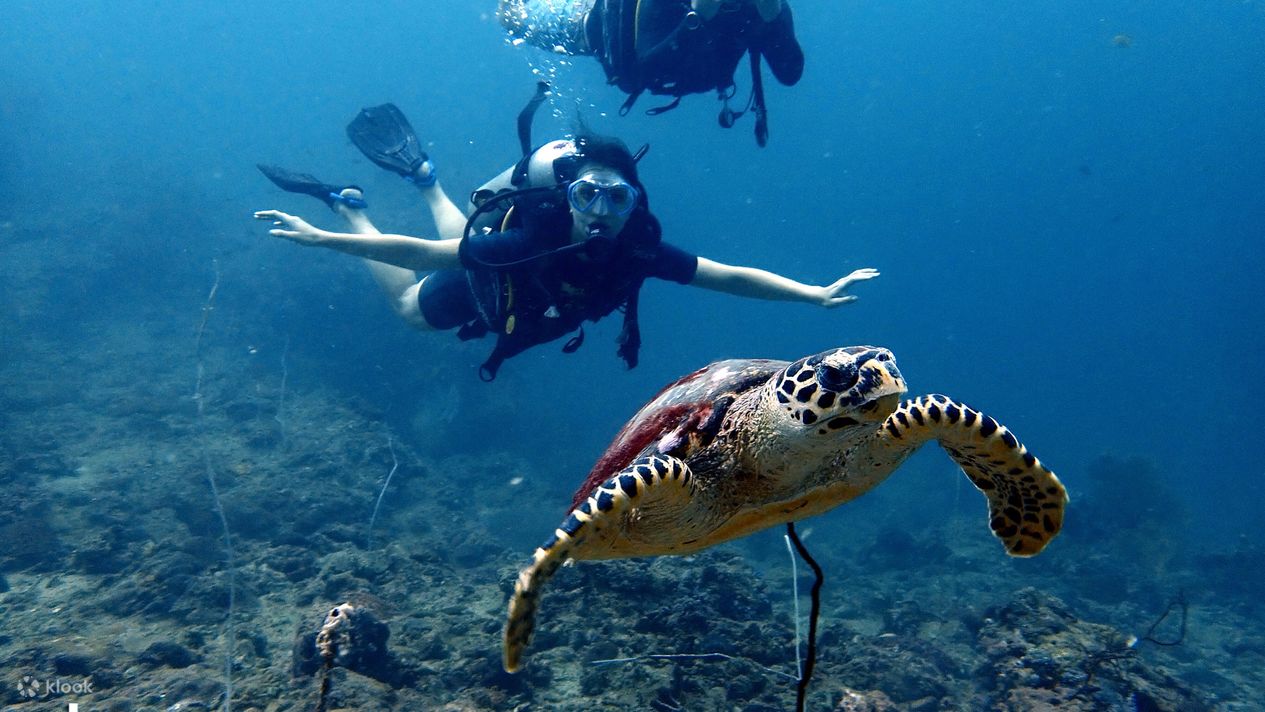 Phi Phi Island Scuba Diving & Snorkeling