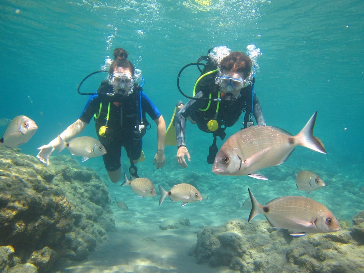 Best Scuba Diving in Rhodes