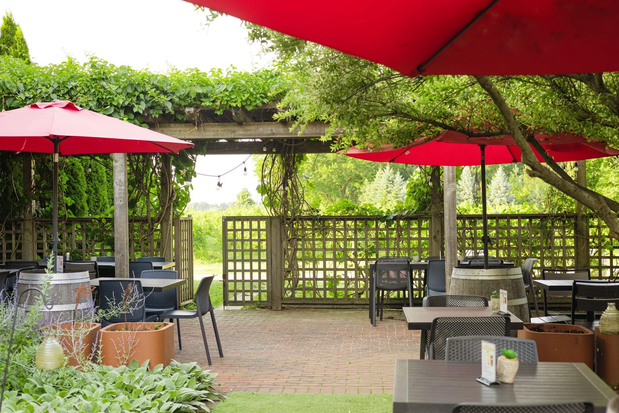 Reif Estate Winery