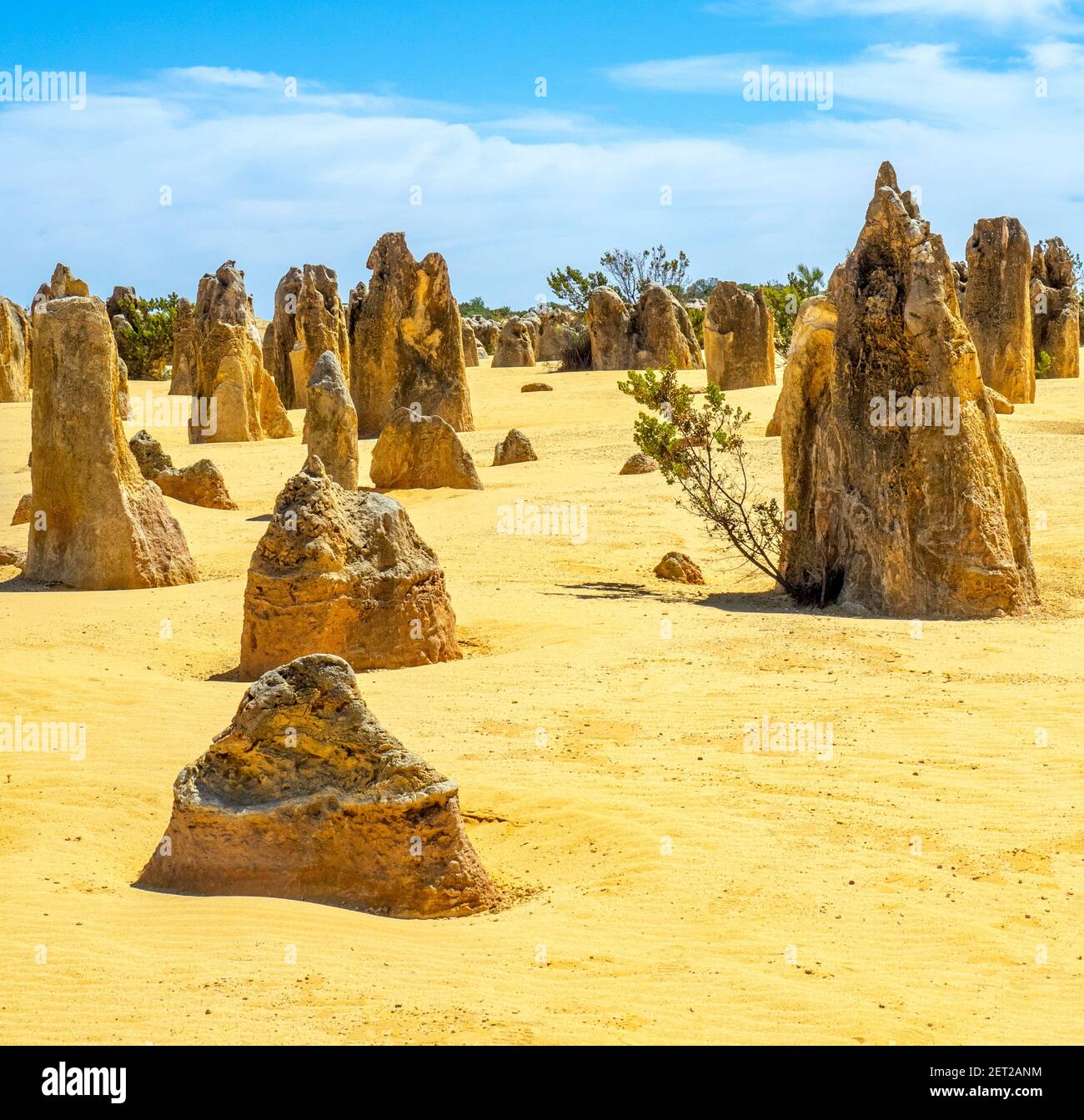 How Much Does It Cost to Go to the Pinnacles