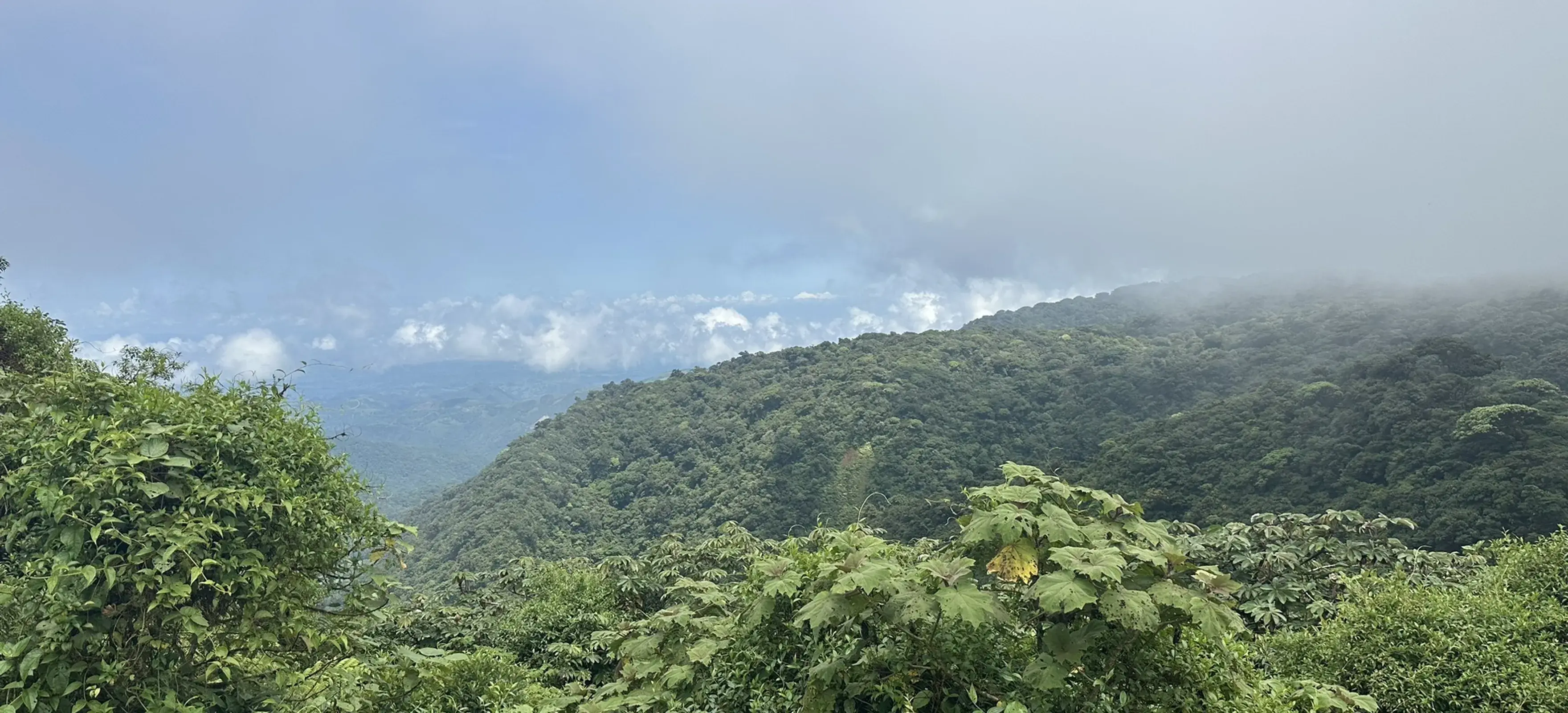 La Ventana Lookout