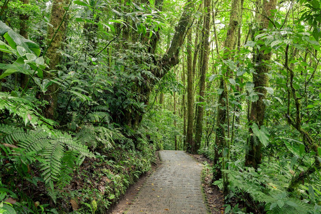 Monteverde Cloud Forest Preserve Parking Lot Tickets