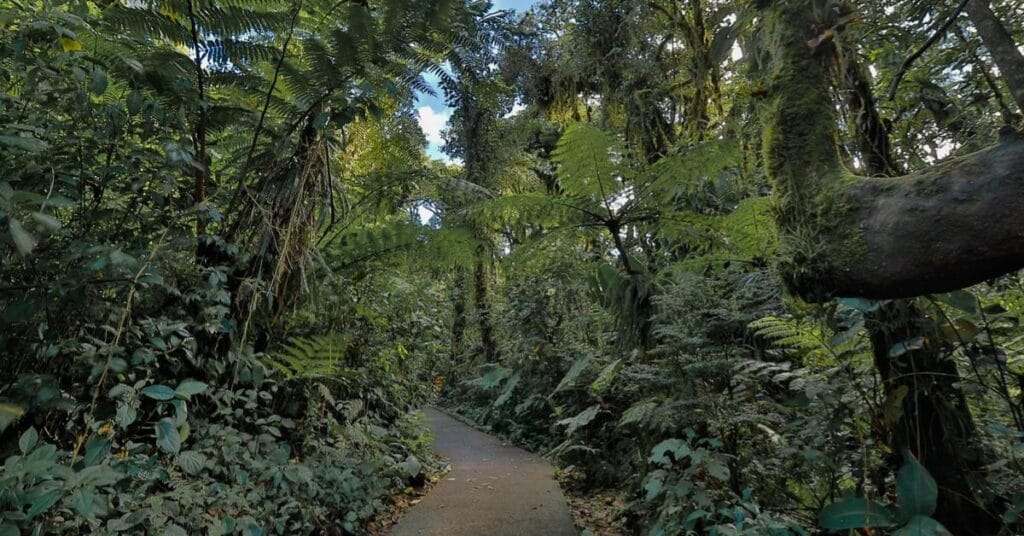 Nuboso Trail