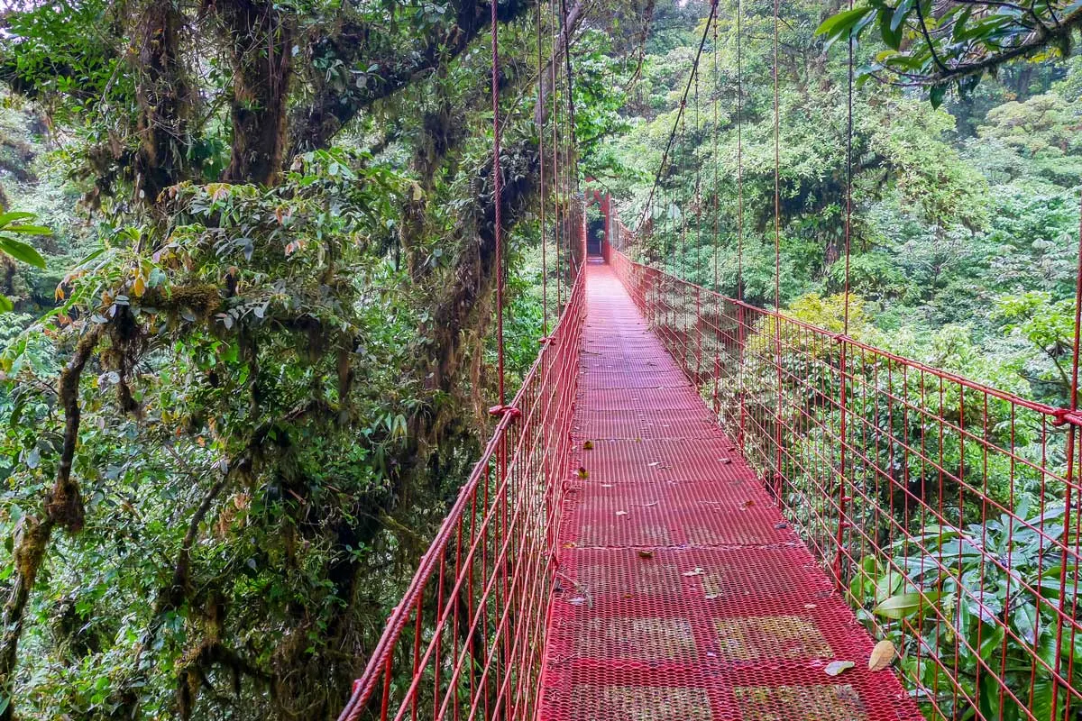 Wilford Guindon Hanging Bridge