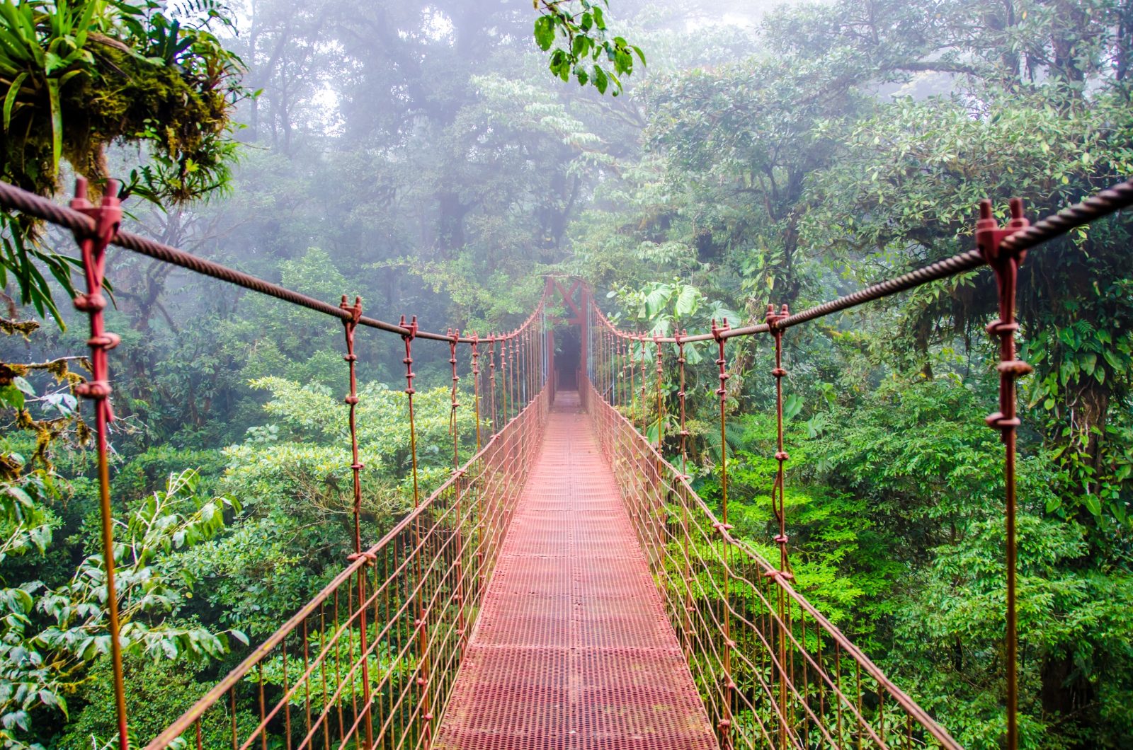 Monteverde Cloud Forest Reserve Reviews
