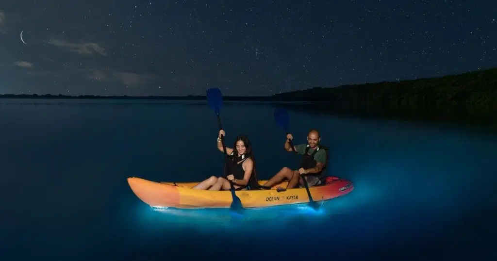 Bioluminescent Lagoon Channel