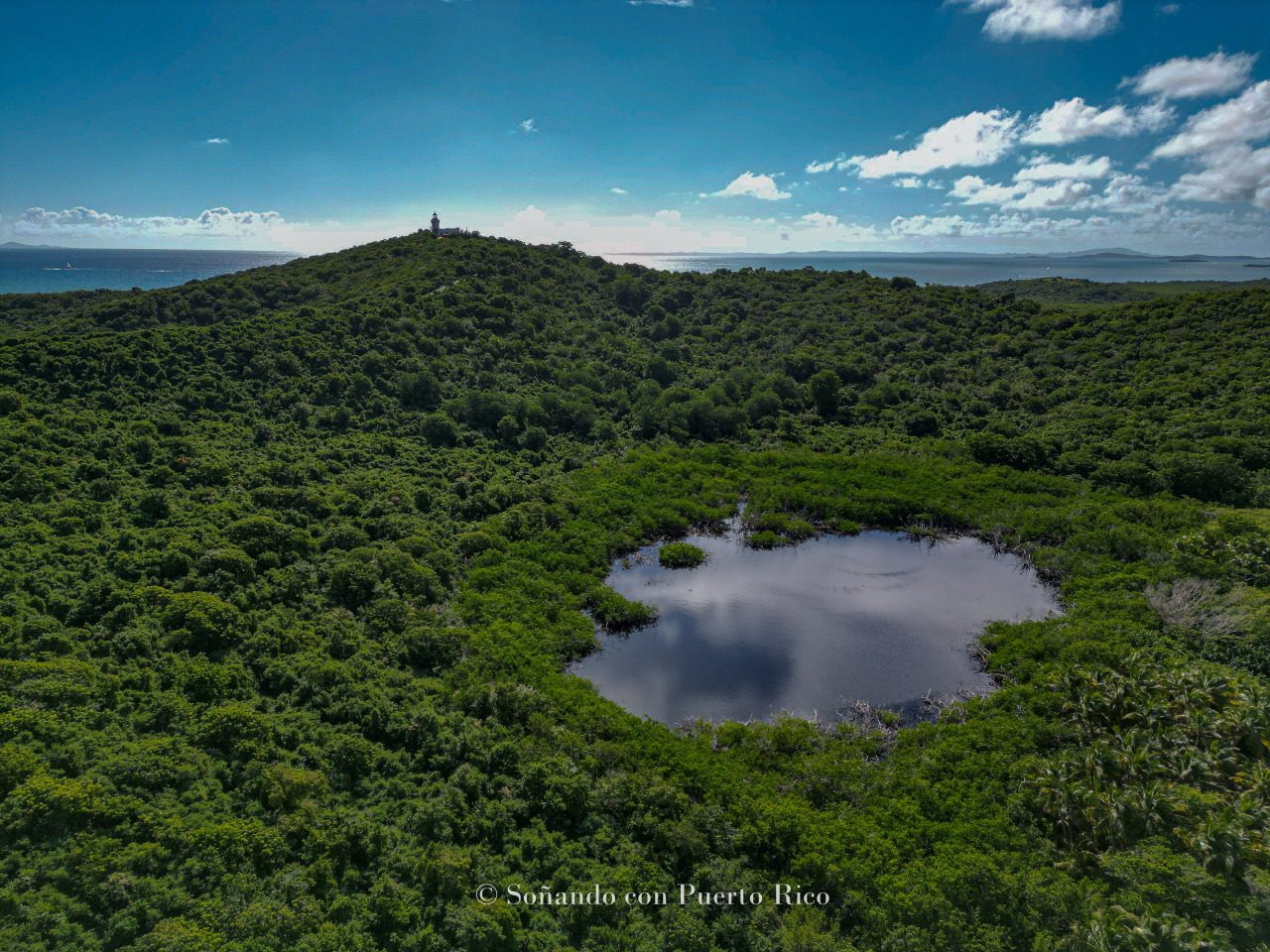 Las Cabezas Wetlands