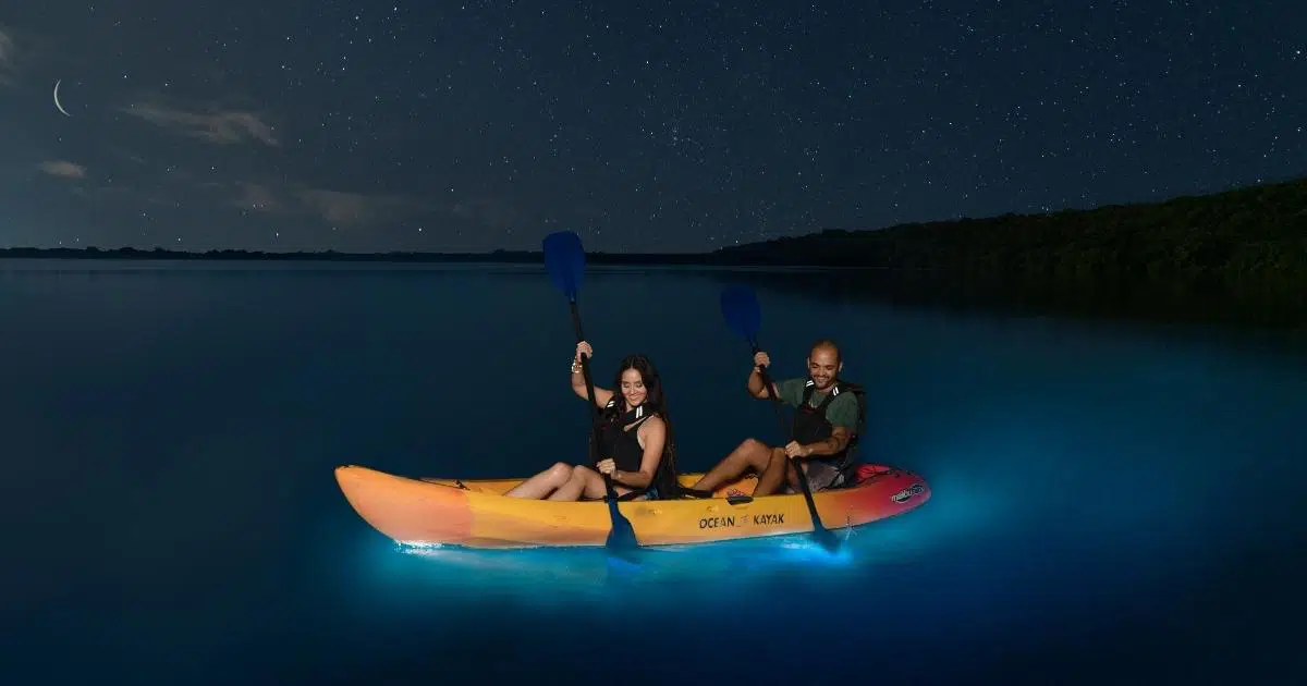 Bioluminescent Bay Tour From San Juan