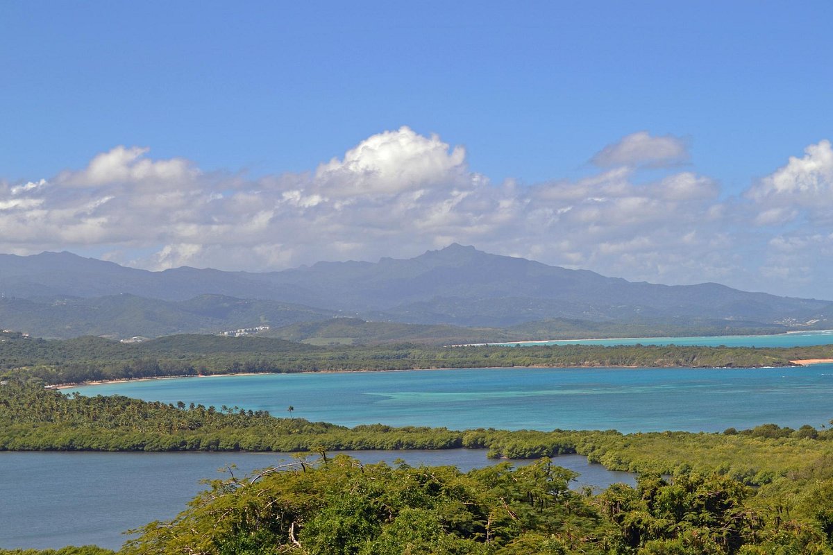 Coral Reef Edge