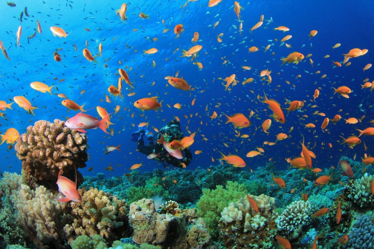 Marsa Alam Snorkeling Map