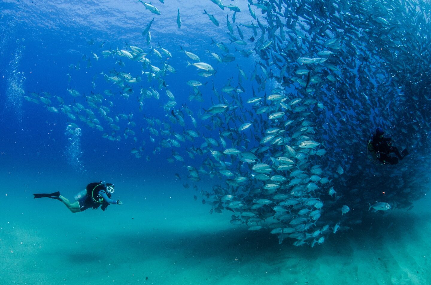 Cabo Pulmo Diving Prices