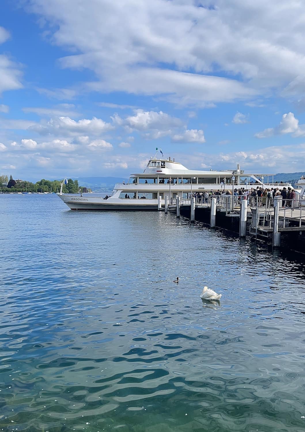 Lake Zurich Boat to Rapperswil