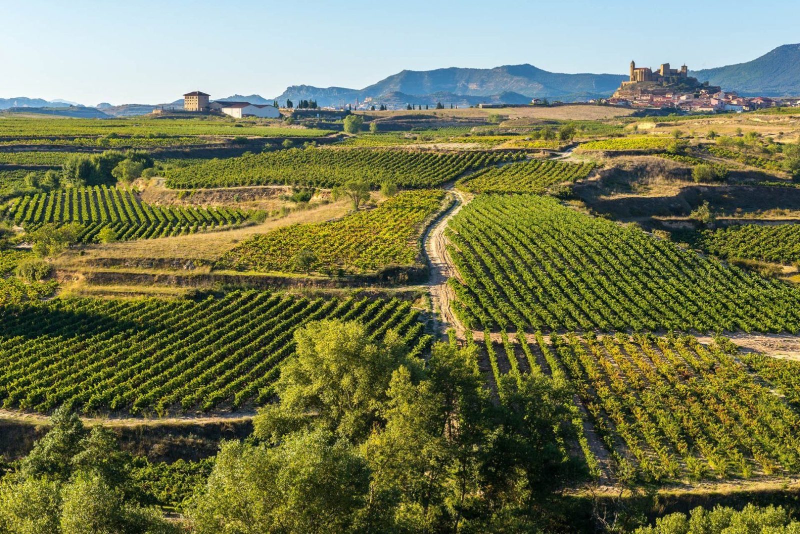 Rioja Wine Tourism
