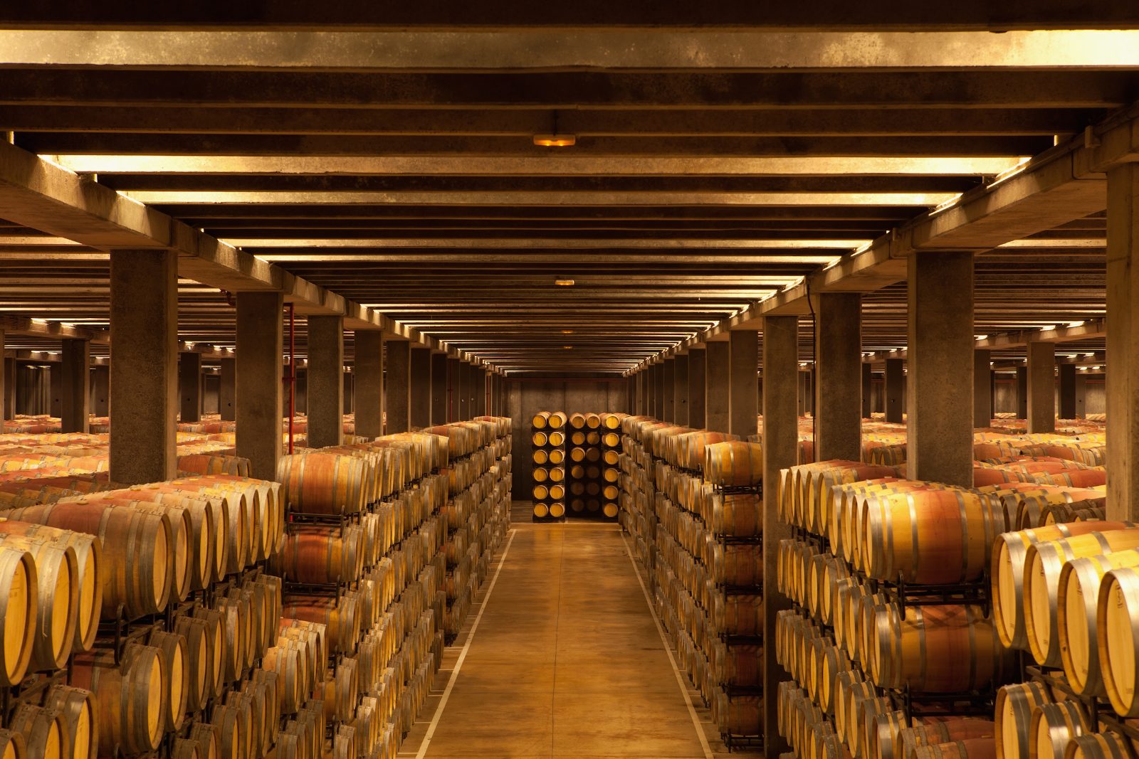 Rioja Wine Tours Reviews