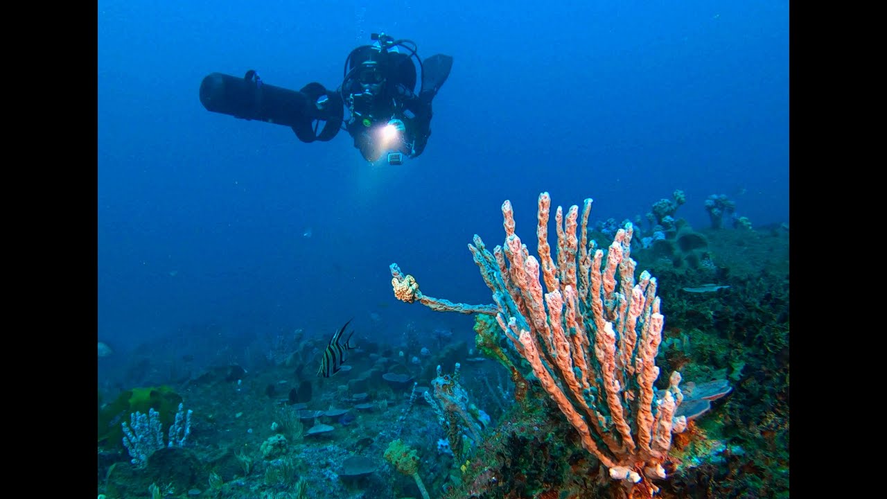 Scuba Diving Sydney Prices