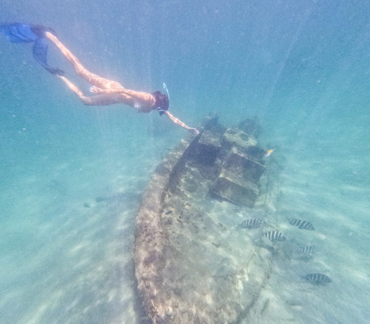 Snorkeling West Palm Beach Peanut Island
