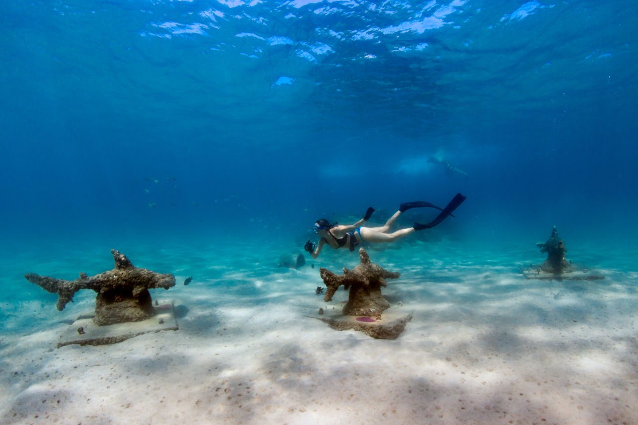 Best Snorkeling West Palm Beach