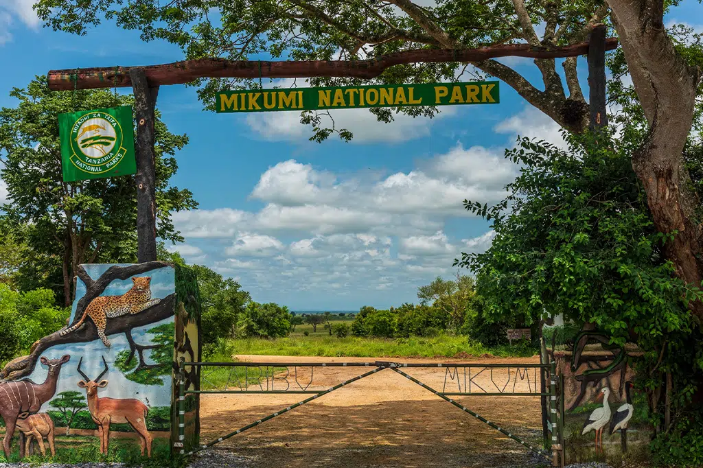 Mikumi Safari From Zanzibar Price