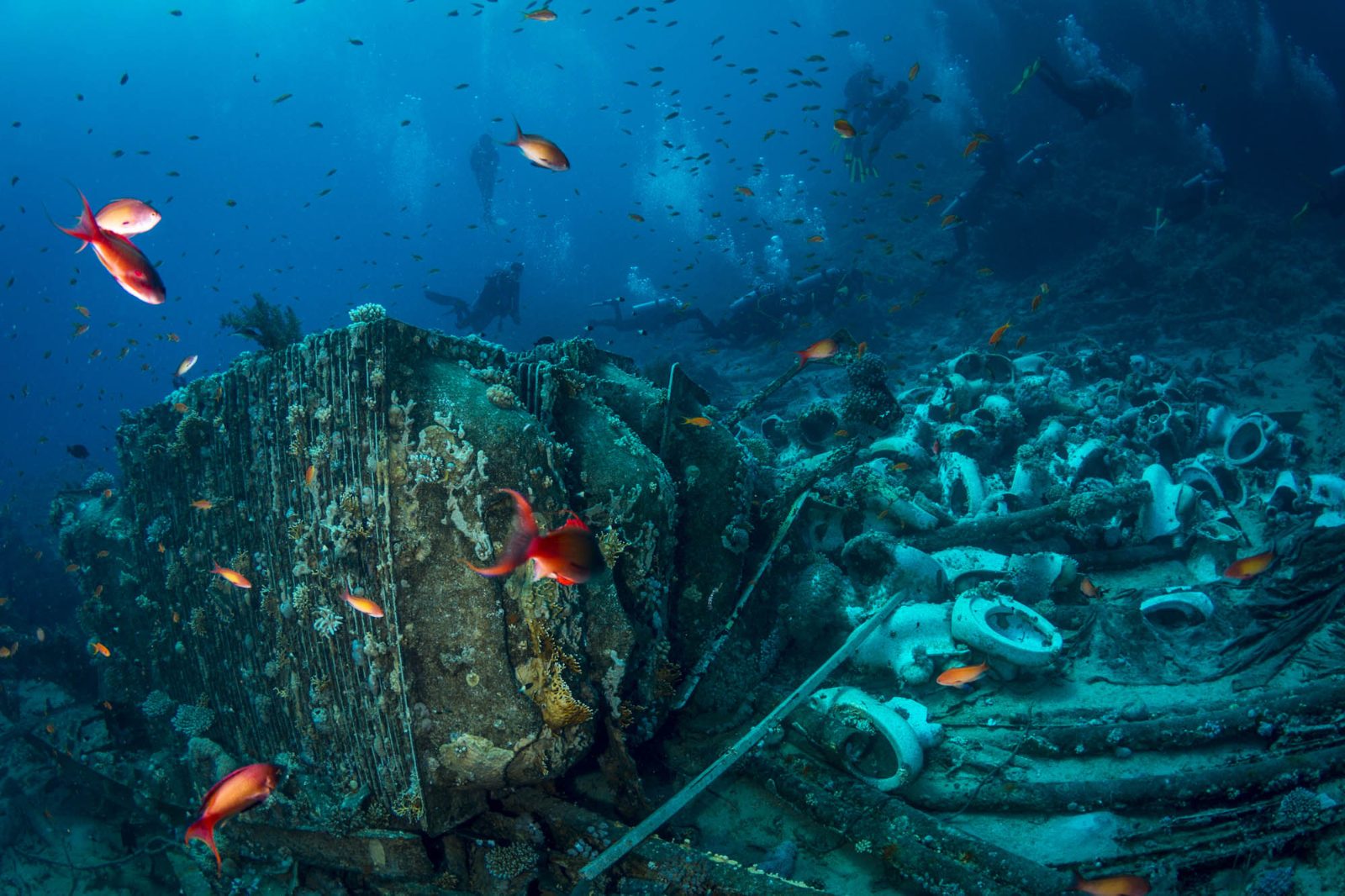Yolanda Reef