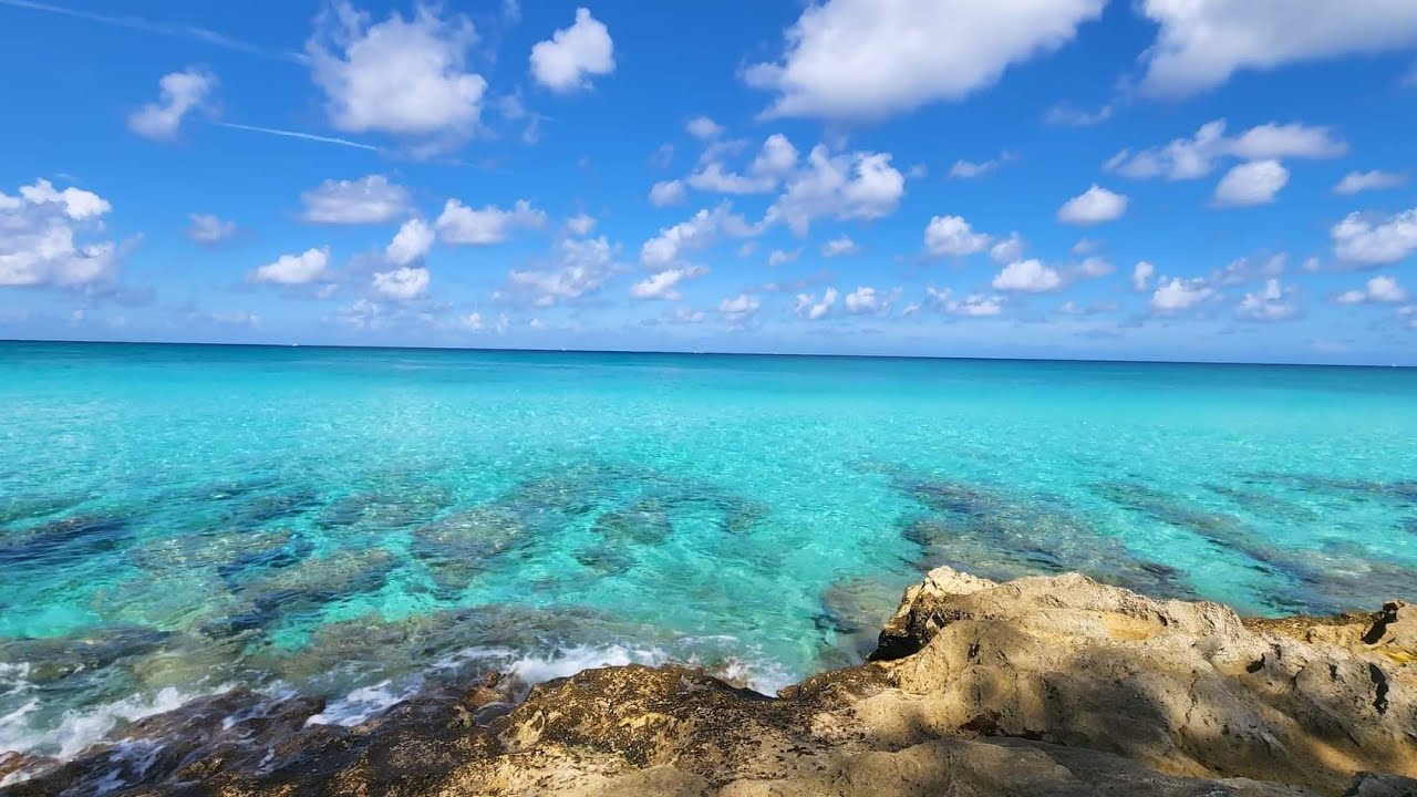 Bimini Snorkeling From Shore