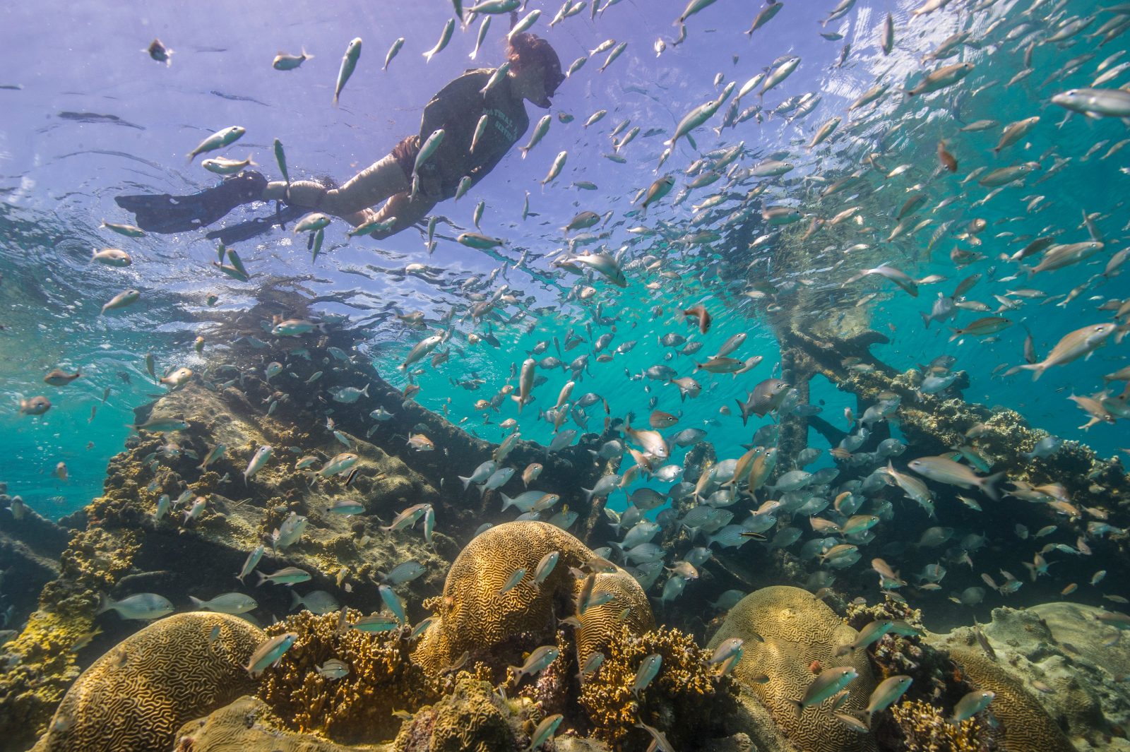 Bimini Snorkeling Spots