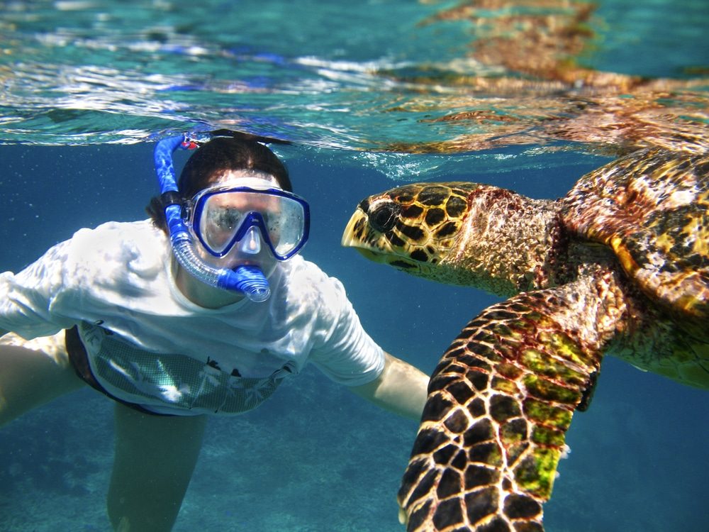 Turtle Rocks