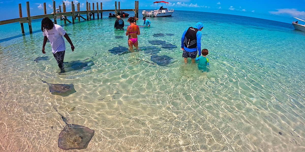 Honeymoon Harbor