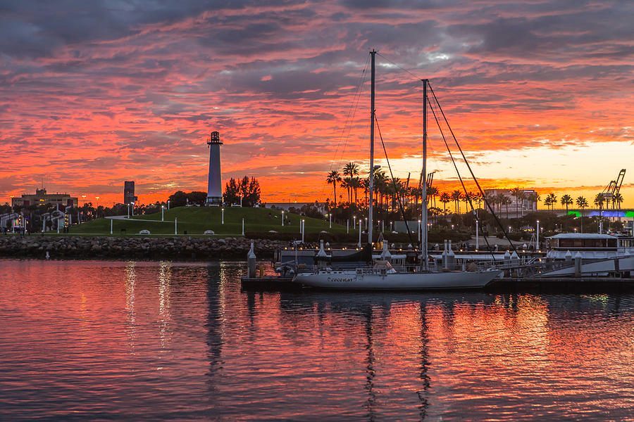 Long Beach Thanksgiving Dinner Cruise