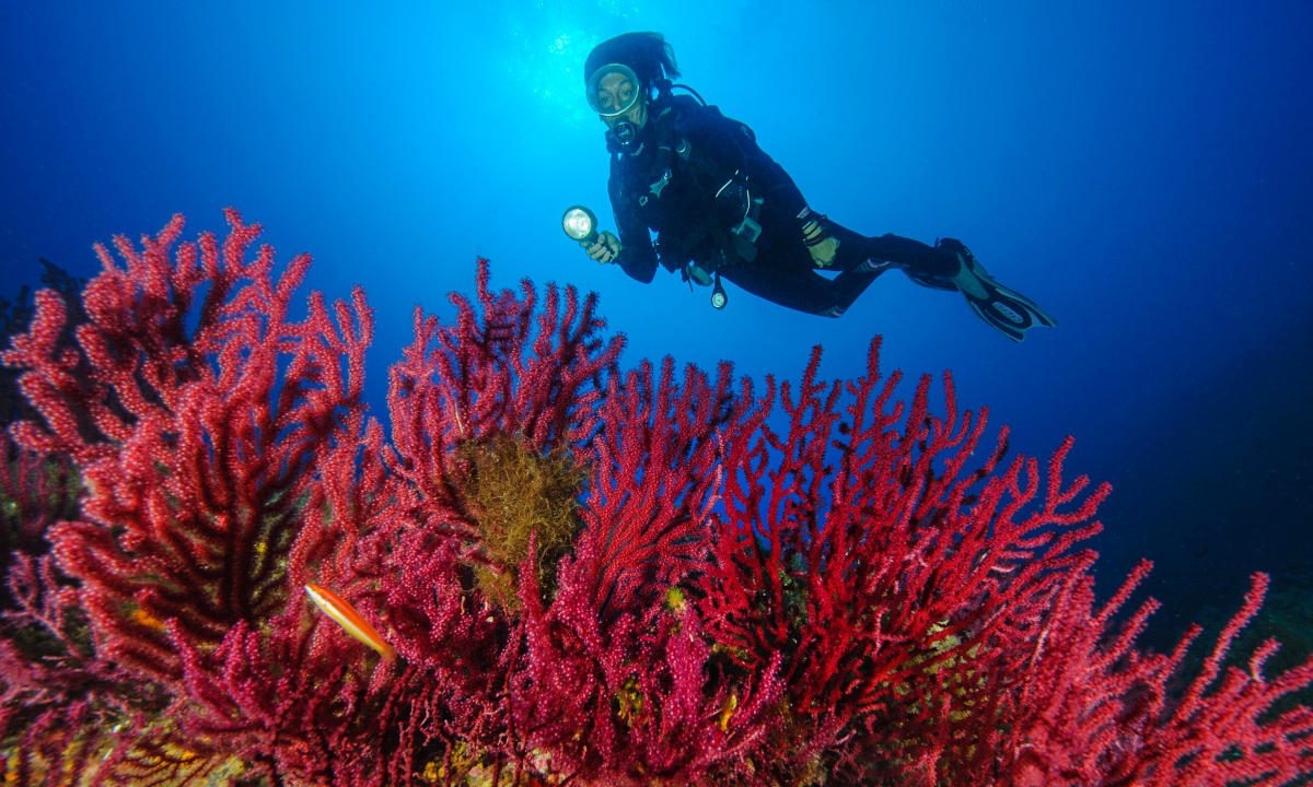 Sardinia Snorkeling Map