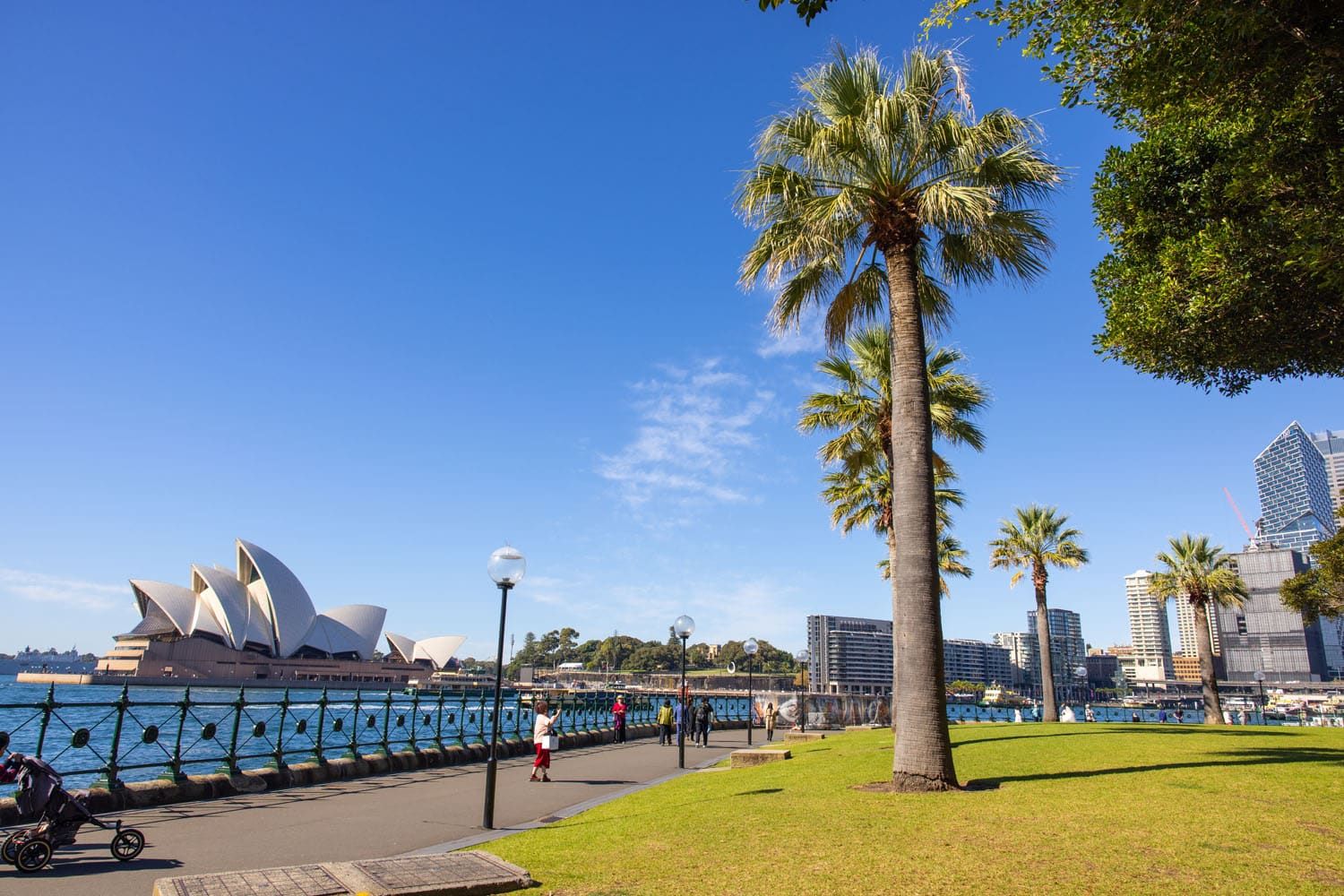 Dawes Point Park